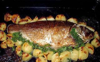 How does the calorie content of crucian carp change during cooking?
